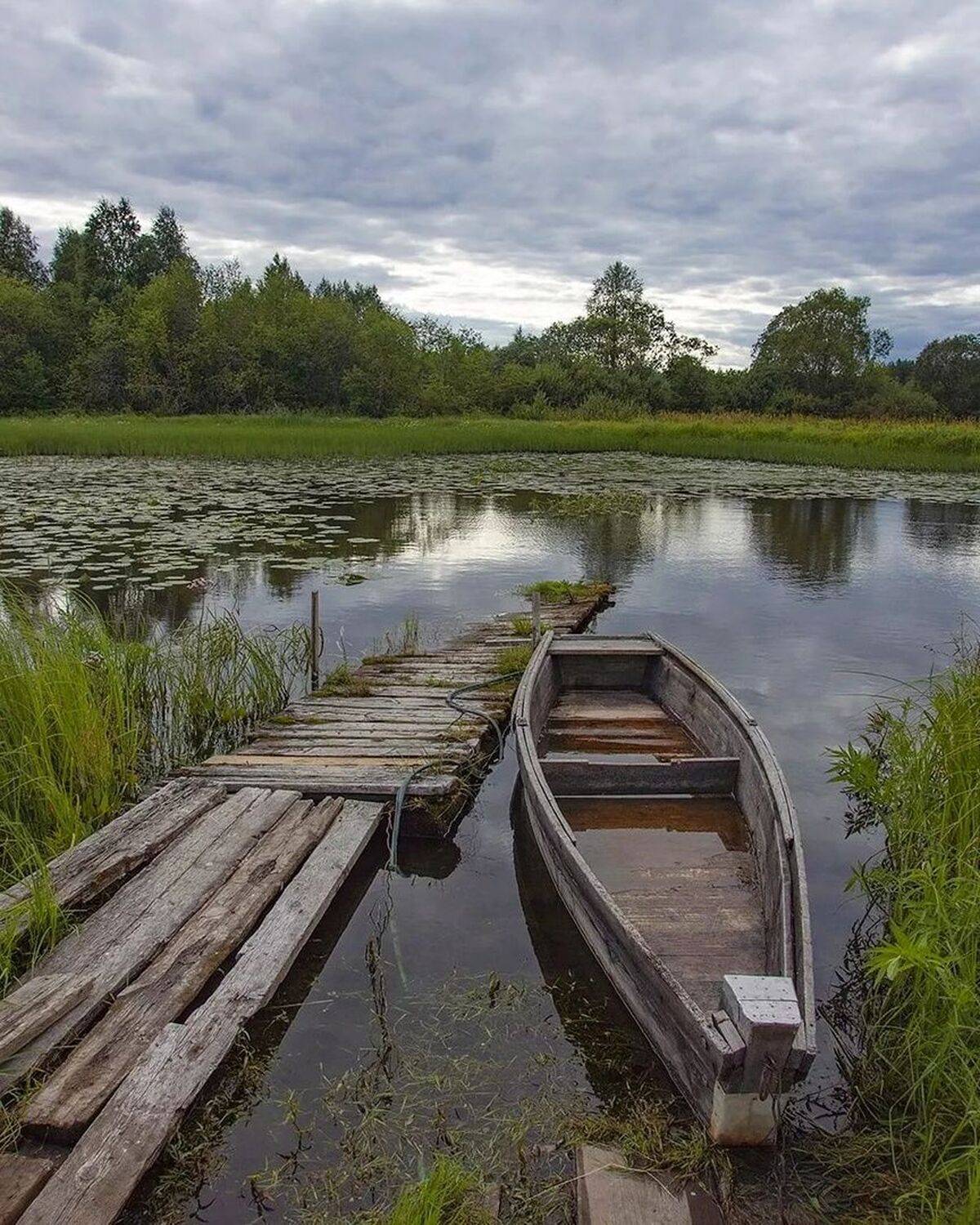 , Петр Косых