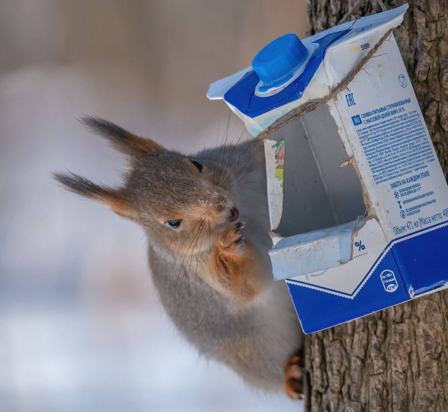 , Константин Дэм