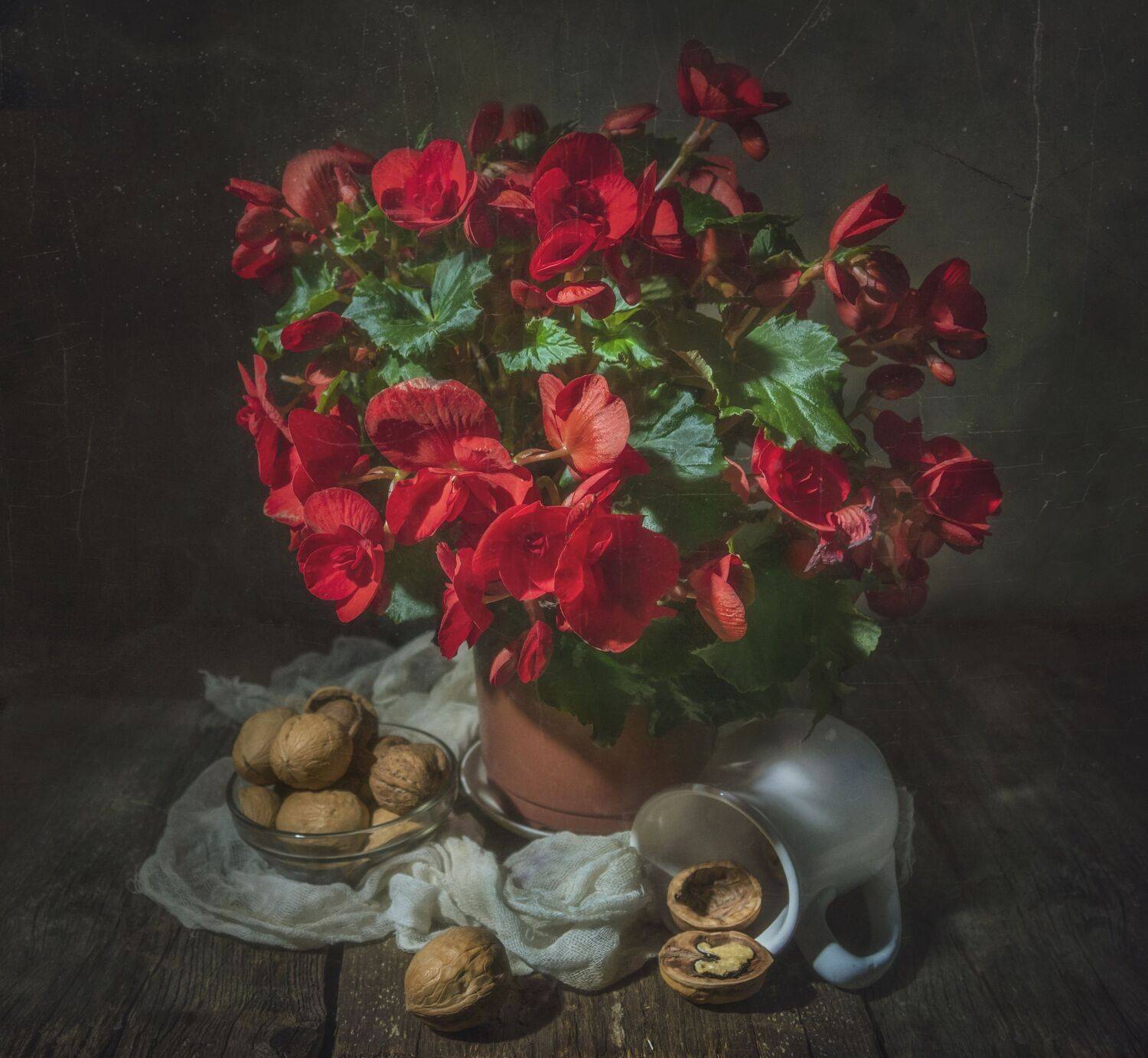 цветы, красные, орехи, Владимир Володин