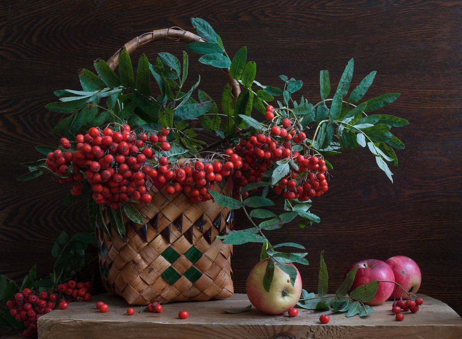 , Колеснева Елена