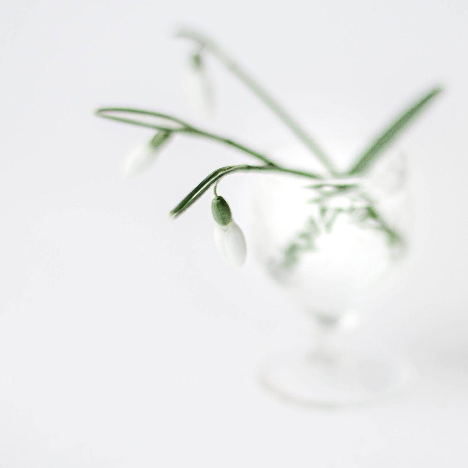 фотограф валерий невмержицкий, фотограф минск, фотограф, Валерий Невмержицкий