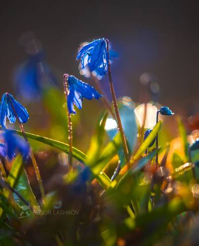 Акварели от весны