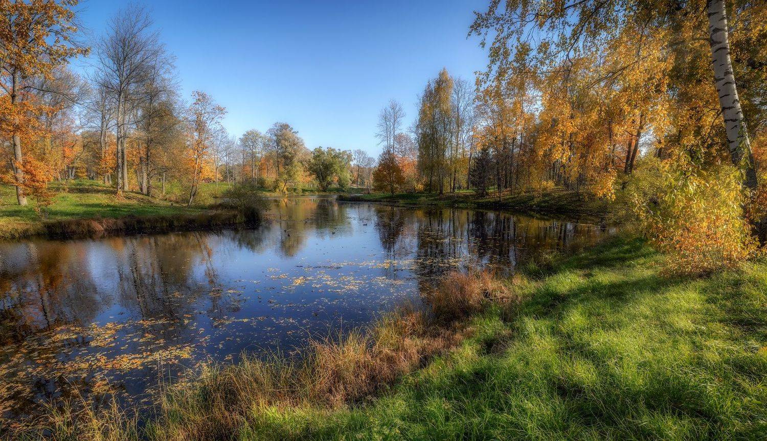 отражение солнце пушкин царское село пруд осень октябрь листопад, Скороходов Константин
