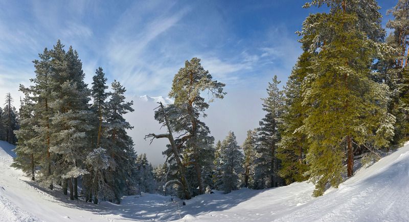 Чуть выше облака фото превью