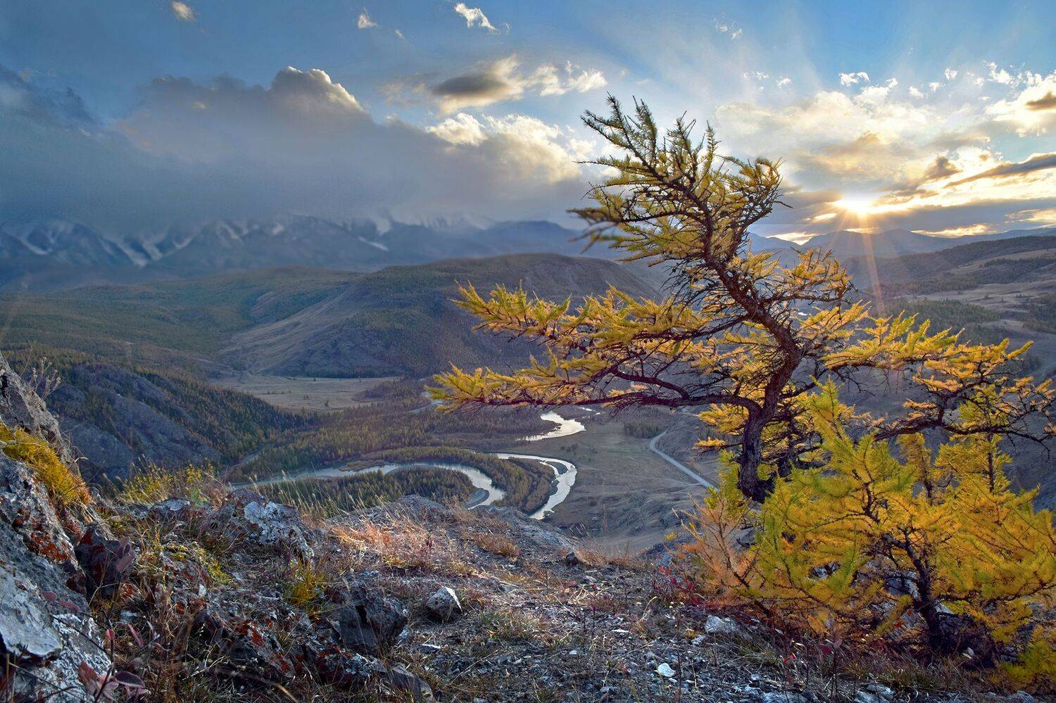 , Светлана Крат