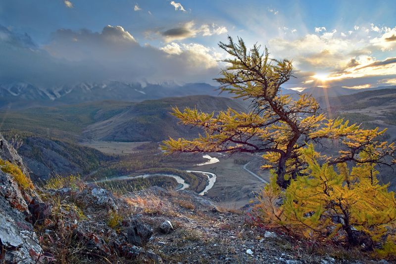 В урочище Таджилу фото превью