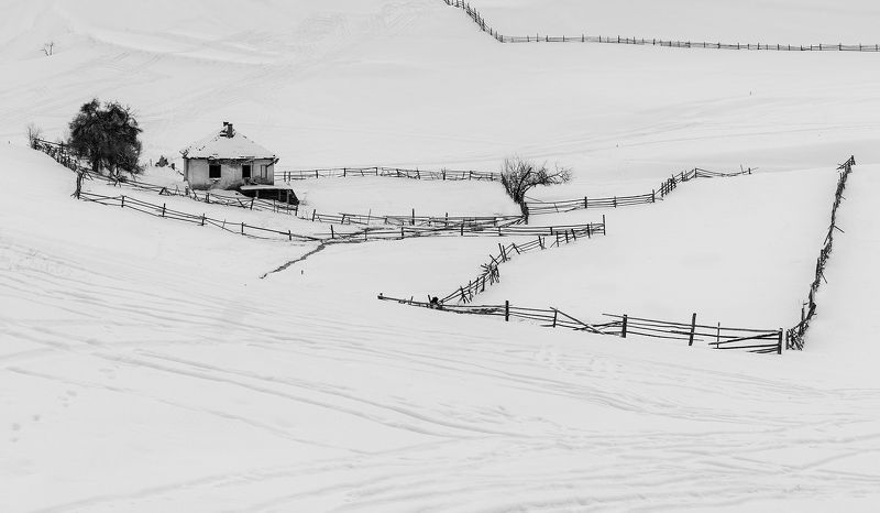 winter Winter фото превью