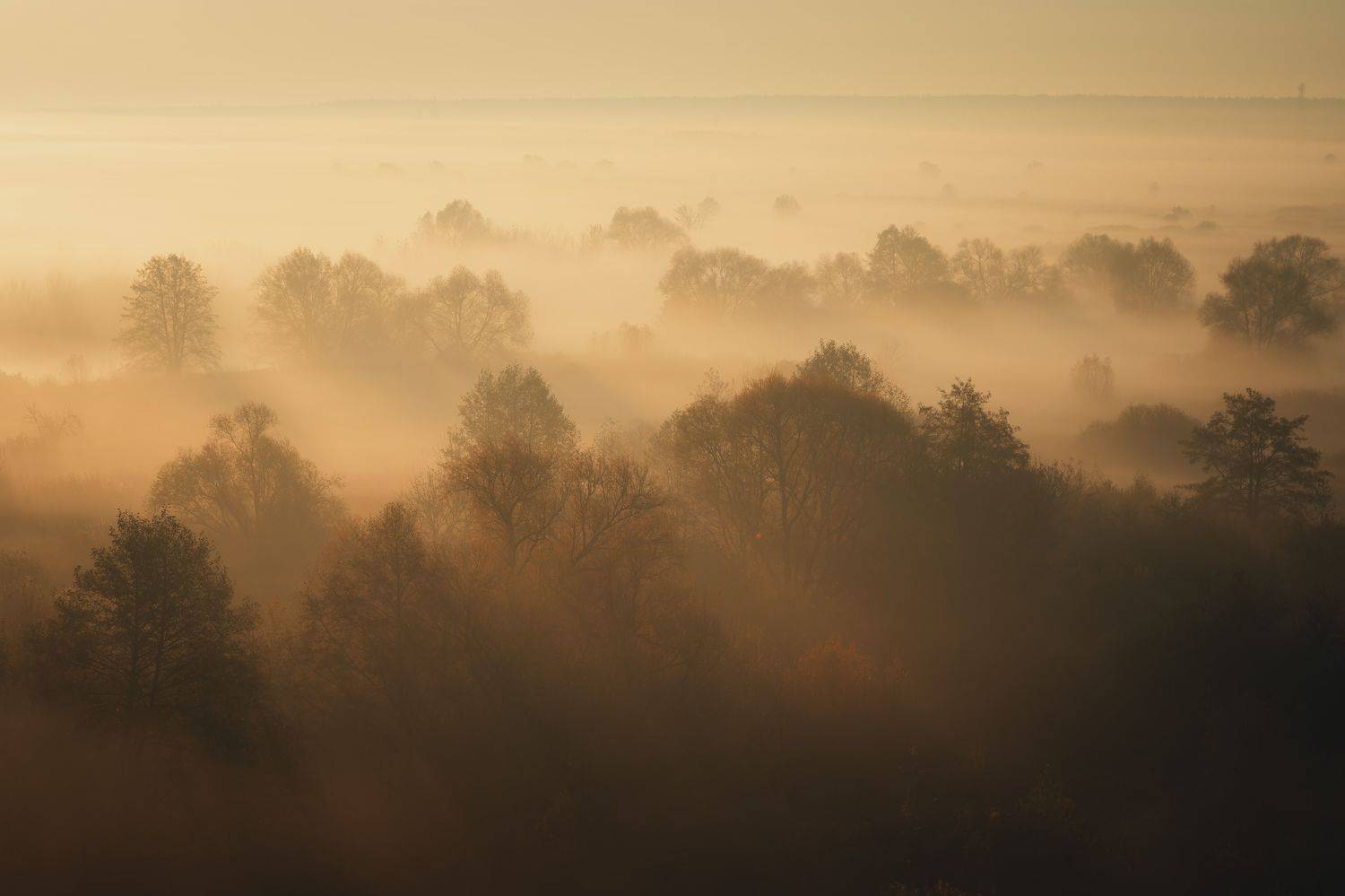 , Барабанов Алексей