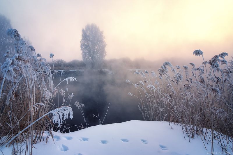на рассвете фото превью