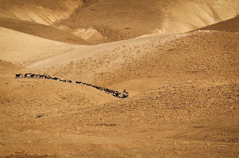 The Jordan Valley, Israel - Иорданская долина фото превью