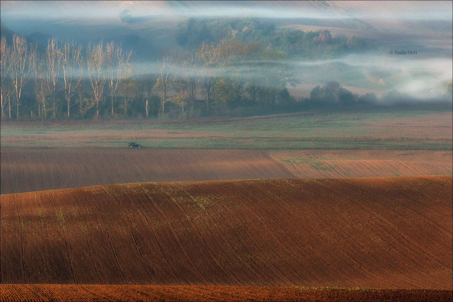 южная моравия,пейзаж,деревья,линии,south moravian,lines,свет,czech,осень,чехия,landscape, Василий Гори