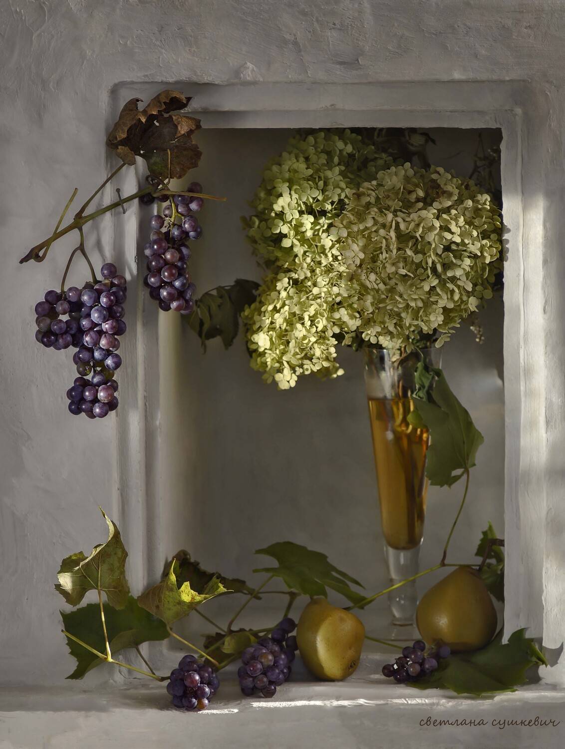 , Светлана Сушкевич