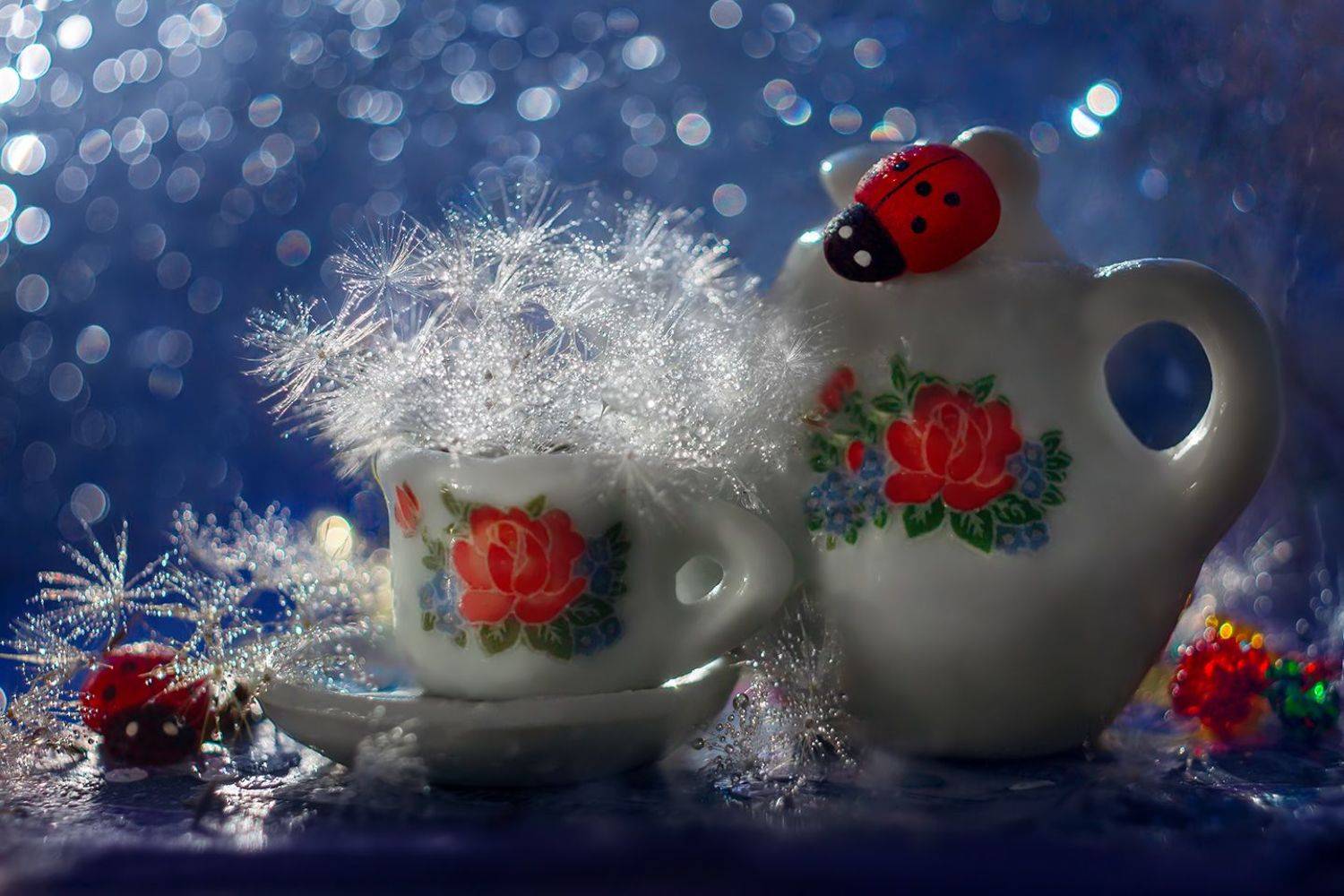 , Алёна Сурнина