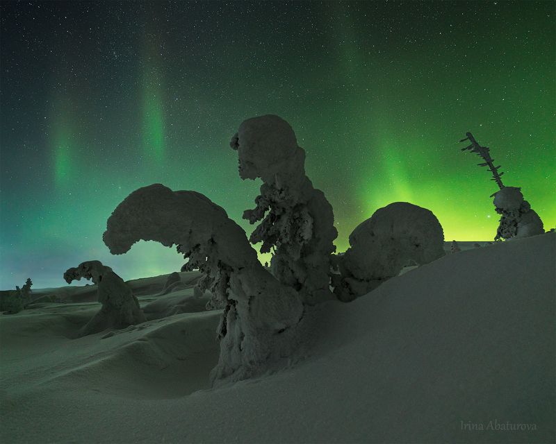 кольский , зима , сияние, аврора, снег, северное сияние, сугроб, зимние деревья Космос близко фото превью