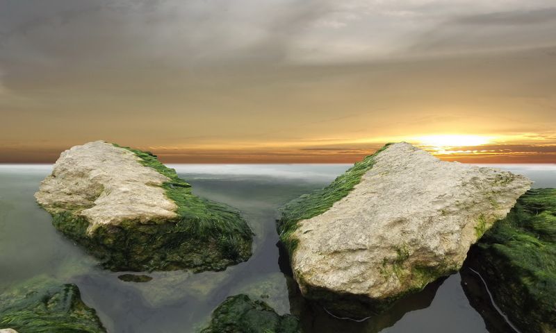 одесса ХАДЖИБЕЙ фото превью