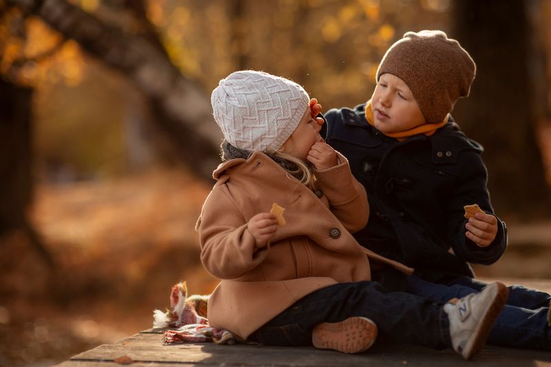 дружба, осень, дети, пикник, забота, брат, сестра, семья Пикник фото превью