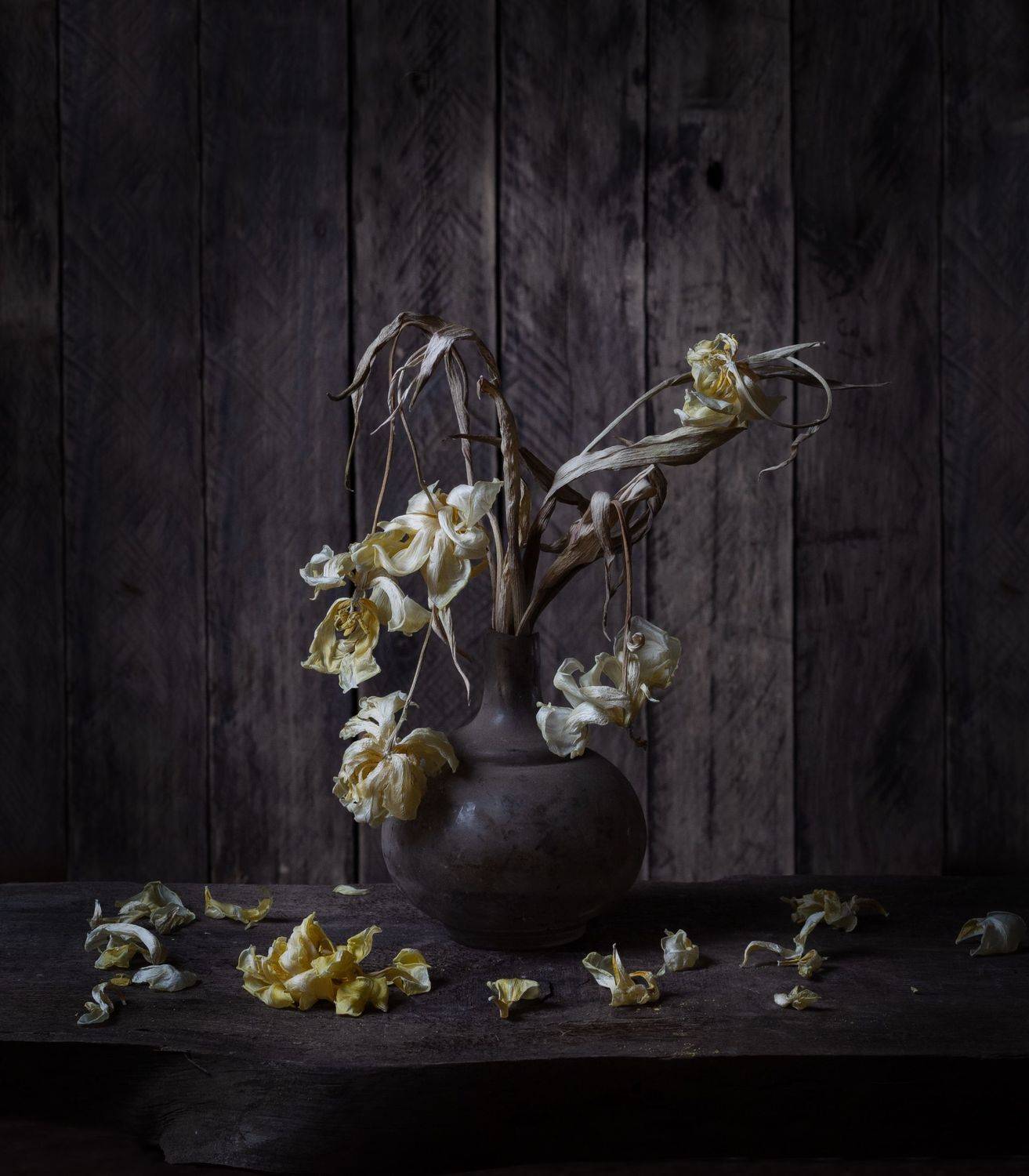 , Светлана Ерохина