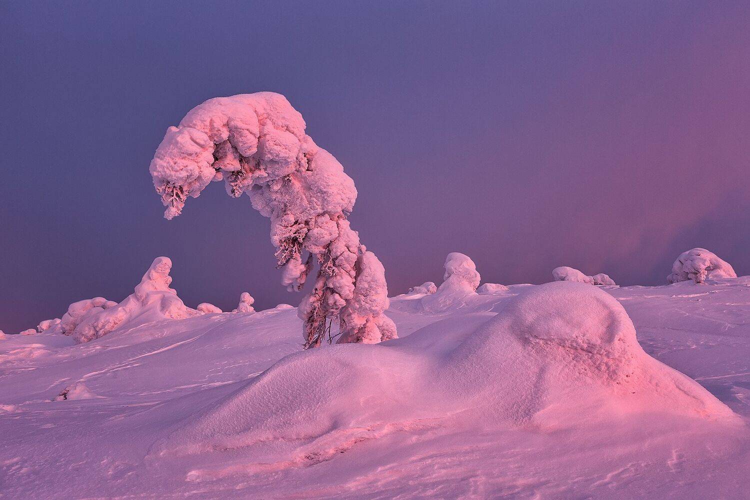 , Константин Маланин