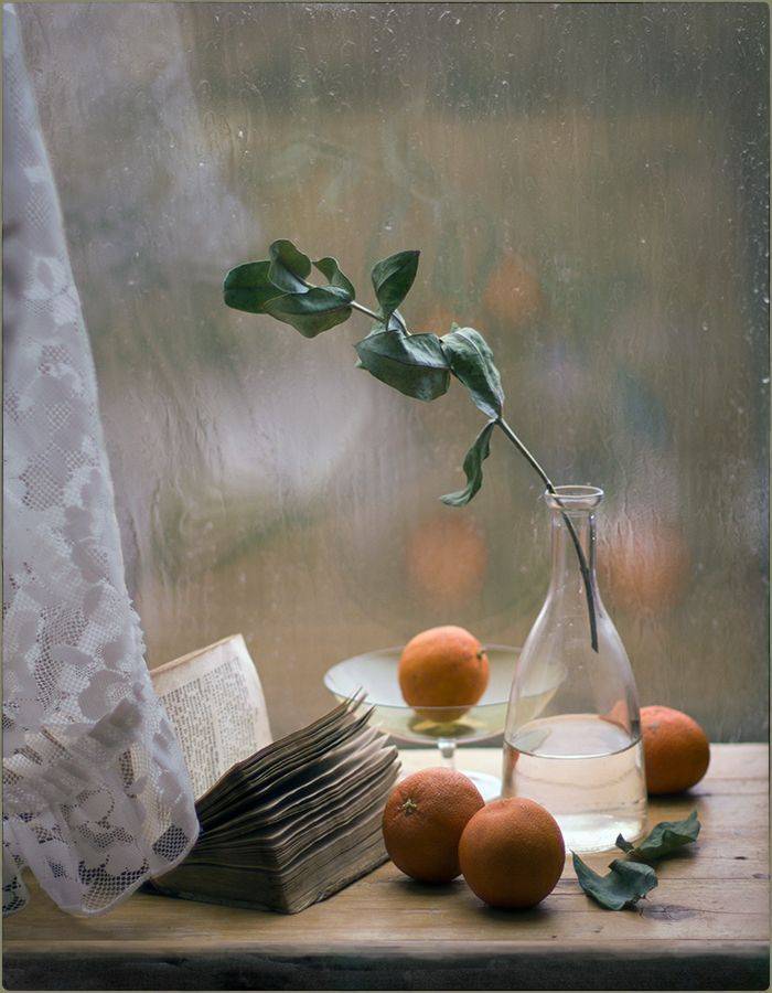, Stein Georg