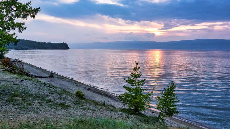 Лиственнички на закате фото превью