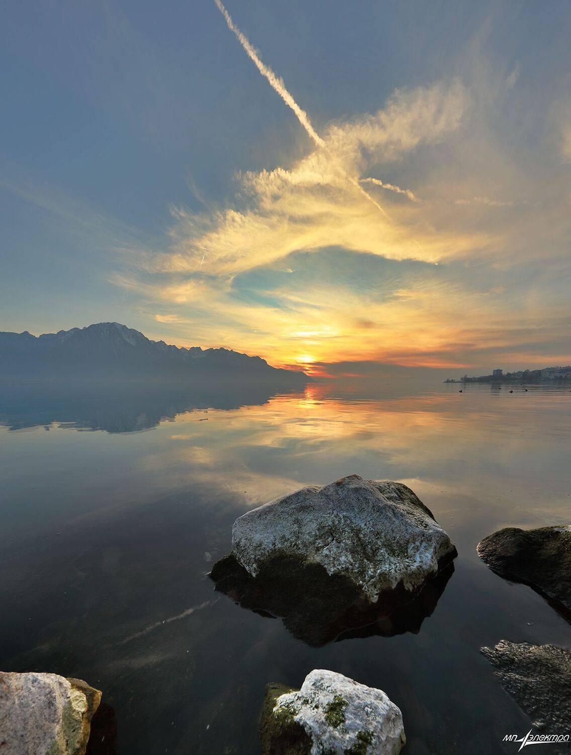 swiss, Матвеев Николай