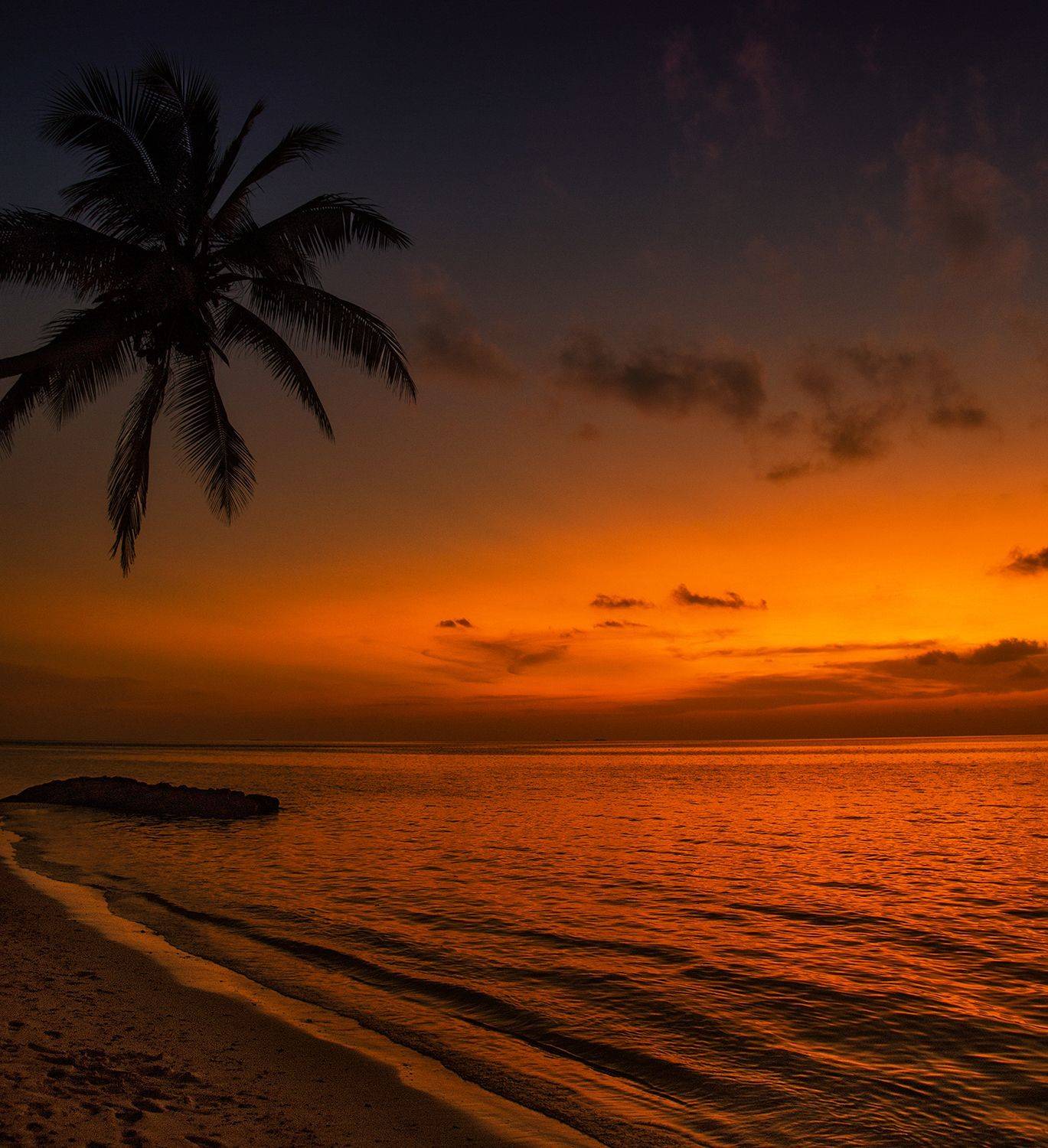 , Desislava Kuleshova