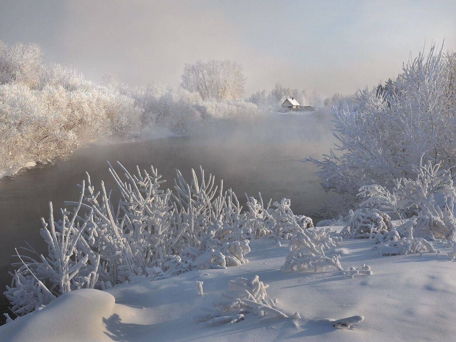 , Александр Попов