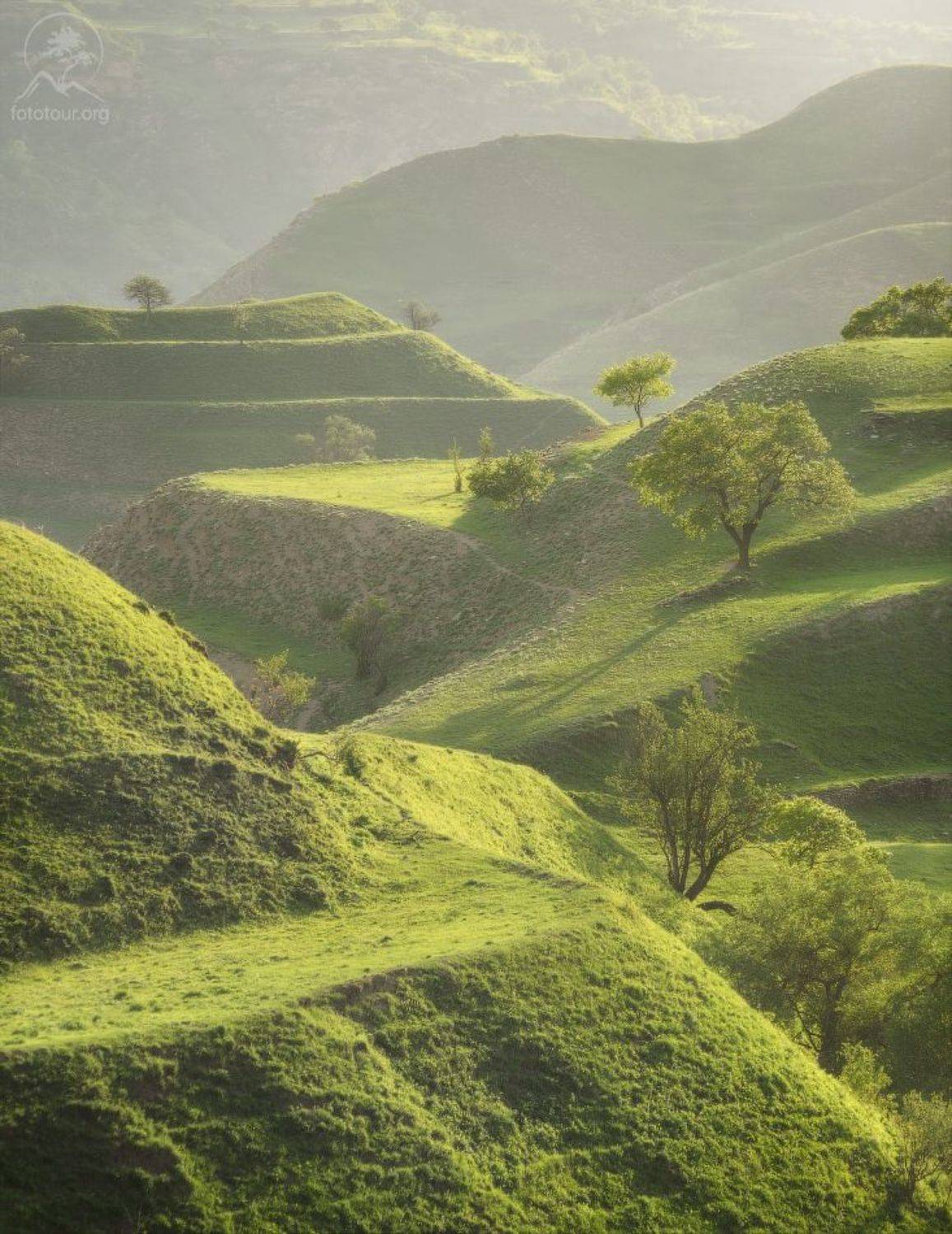 дагестан, террасы, чох, Анатолий Гордиенко