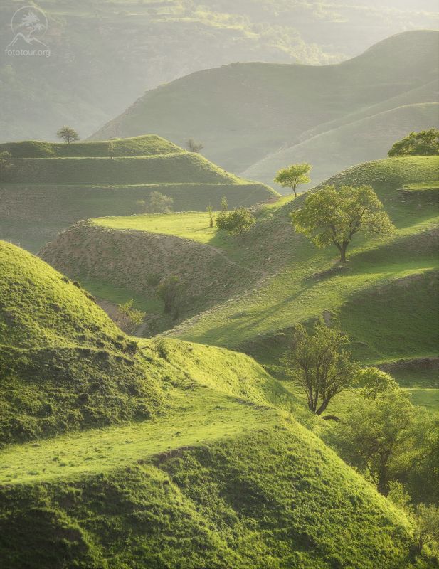 дагестан, террасы, чох Террасы весной фото превью