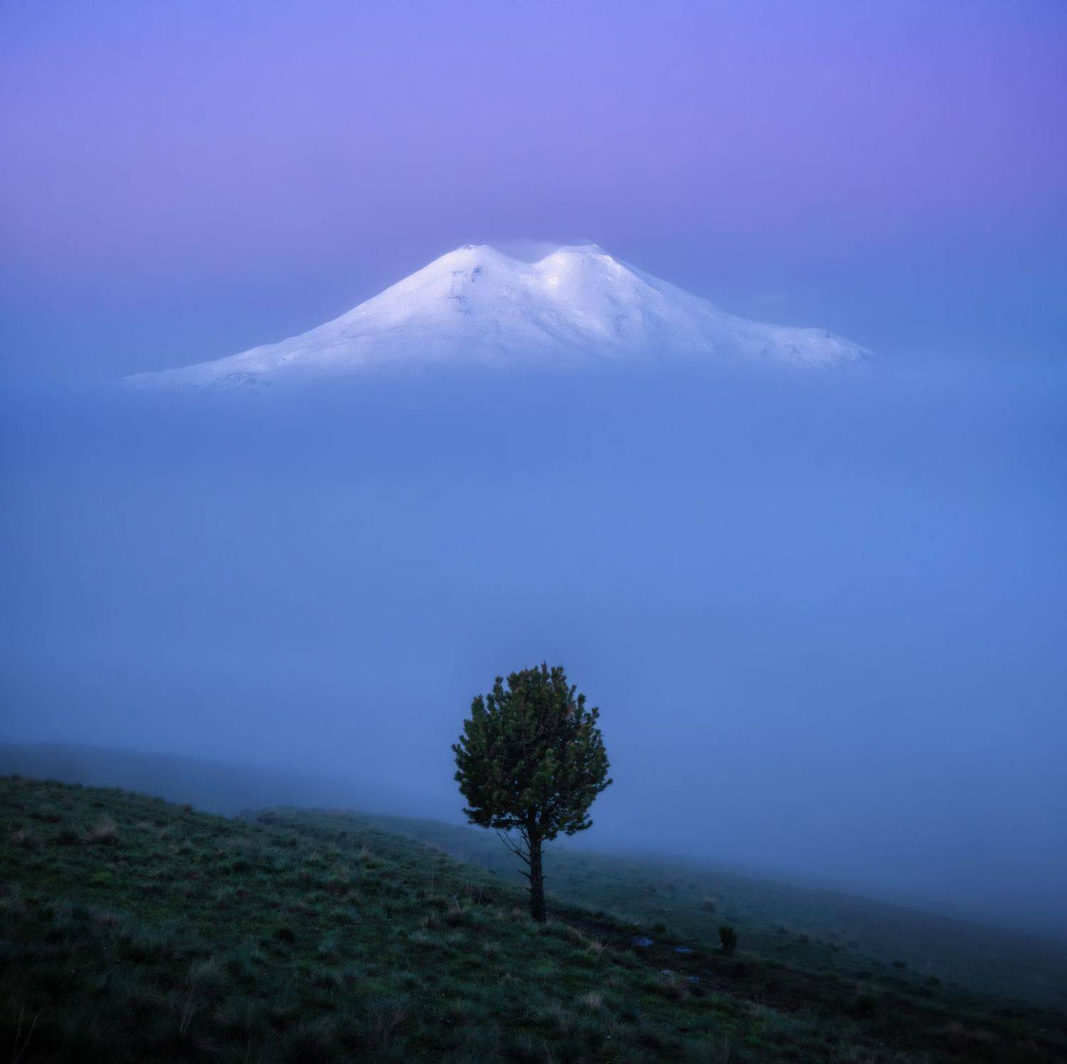 кавказ, Андрей Грачев