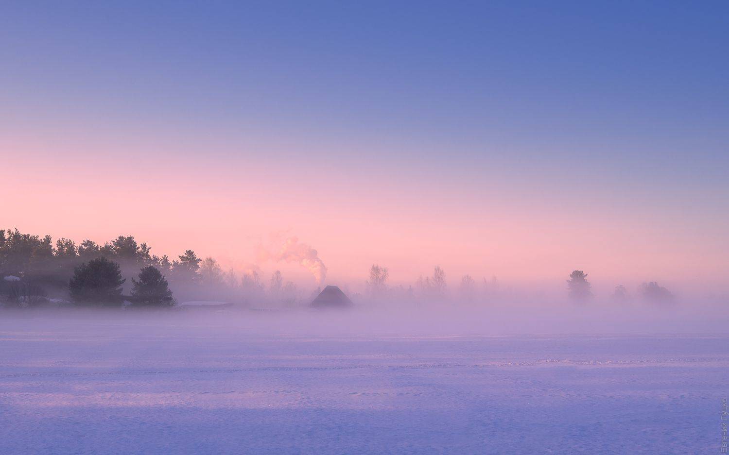 , Евгений Луцко