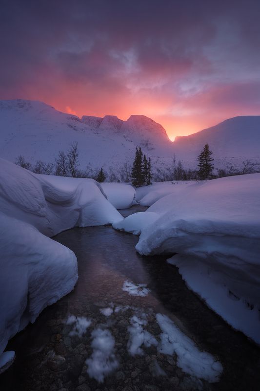 север, кольский, лес, зима, хибины Закат на озере Малый Вудъявр фото превью