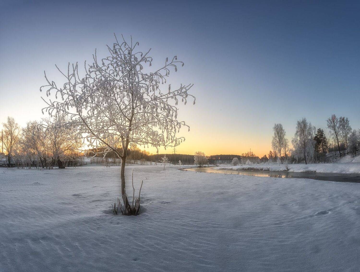 , Николай Андреев