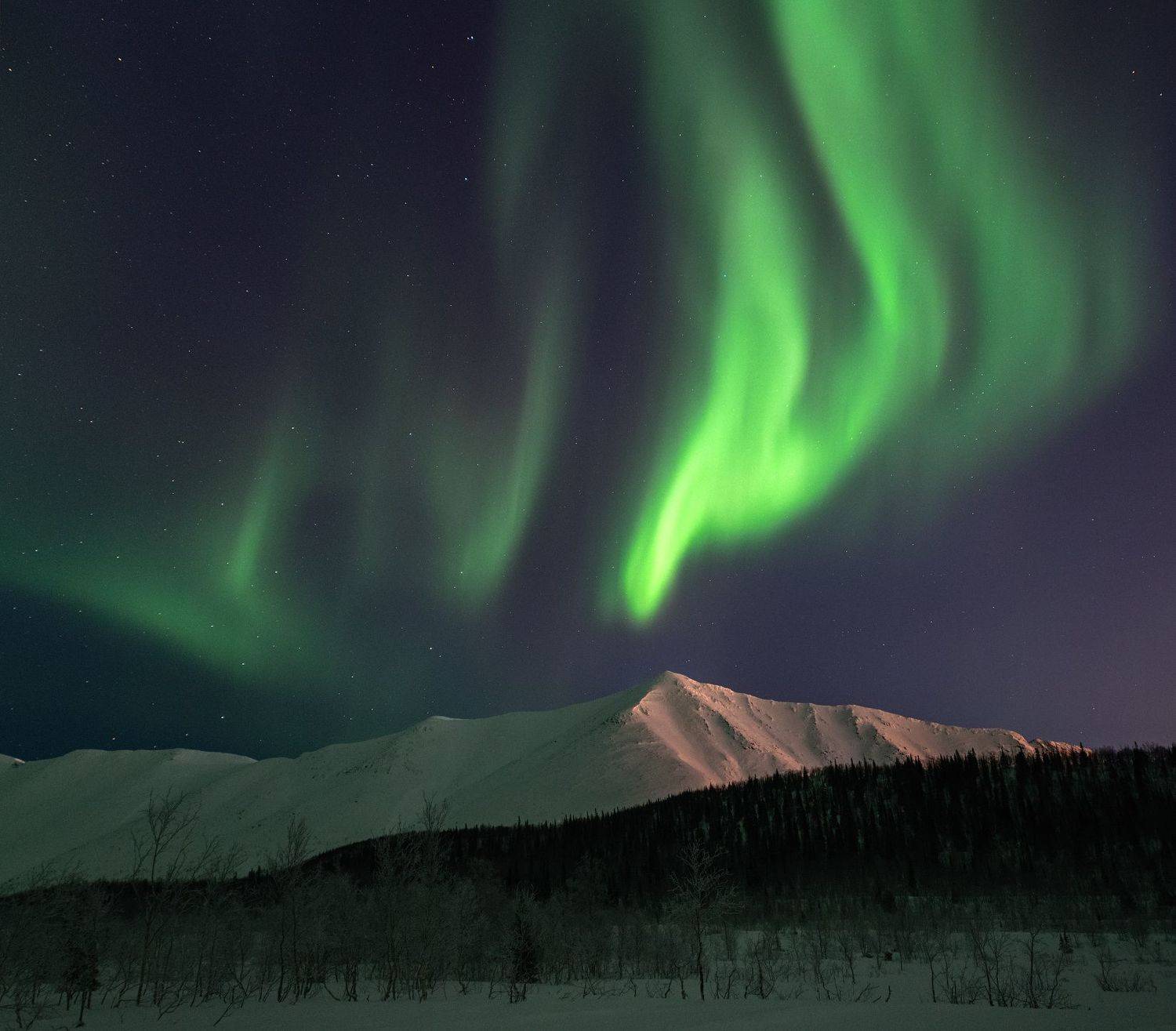 , Виталий Истомин