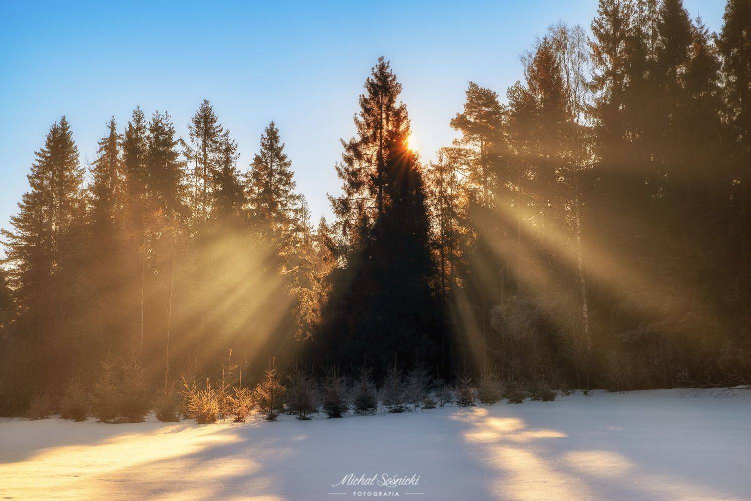 #poland #pentax #benro #lightroom #nikcollection #nature #sunrise #mountains #sky #fog #foggy #morning #pix #trees #sun, Sośnicki Michał