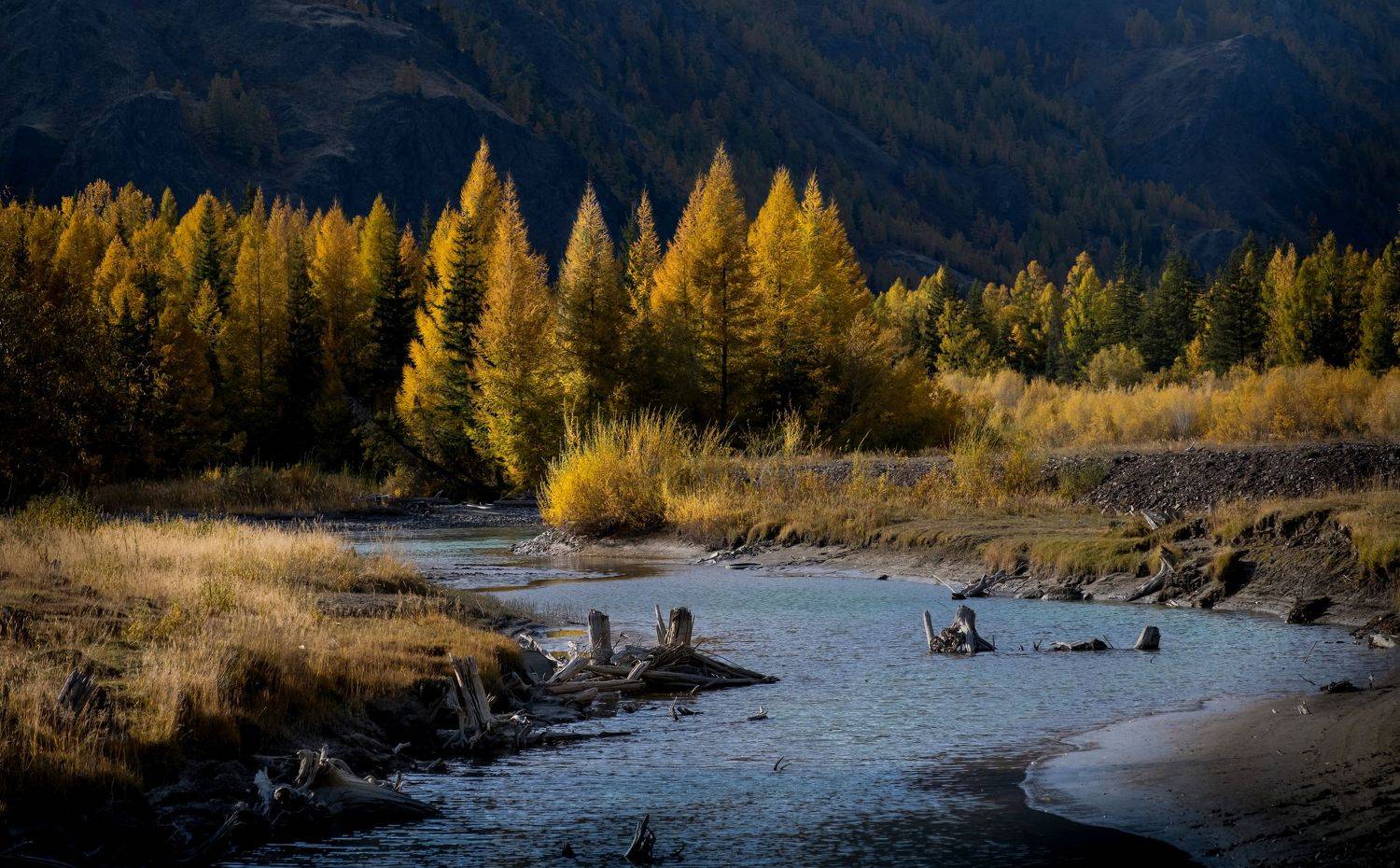 алтай, осень, что такое осень?, фототур на алтай, осень на алтае, республика алтай, долина реки чуи, чуя, золотой алтай нд, золотой алтай, нд, Демкина Надежда