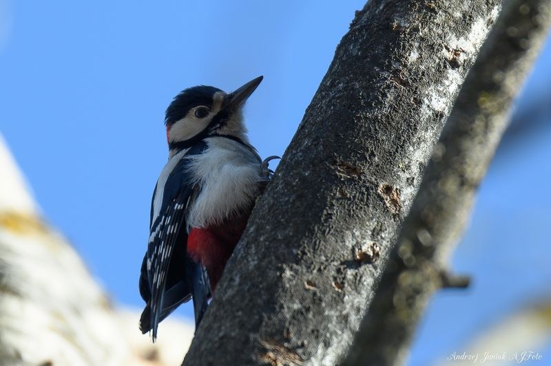 doctor фото превью