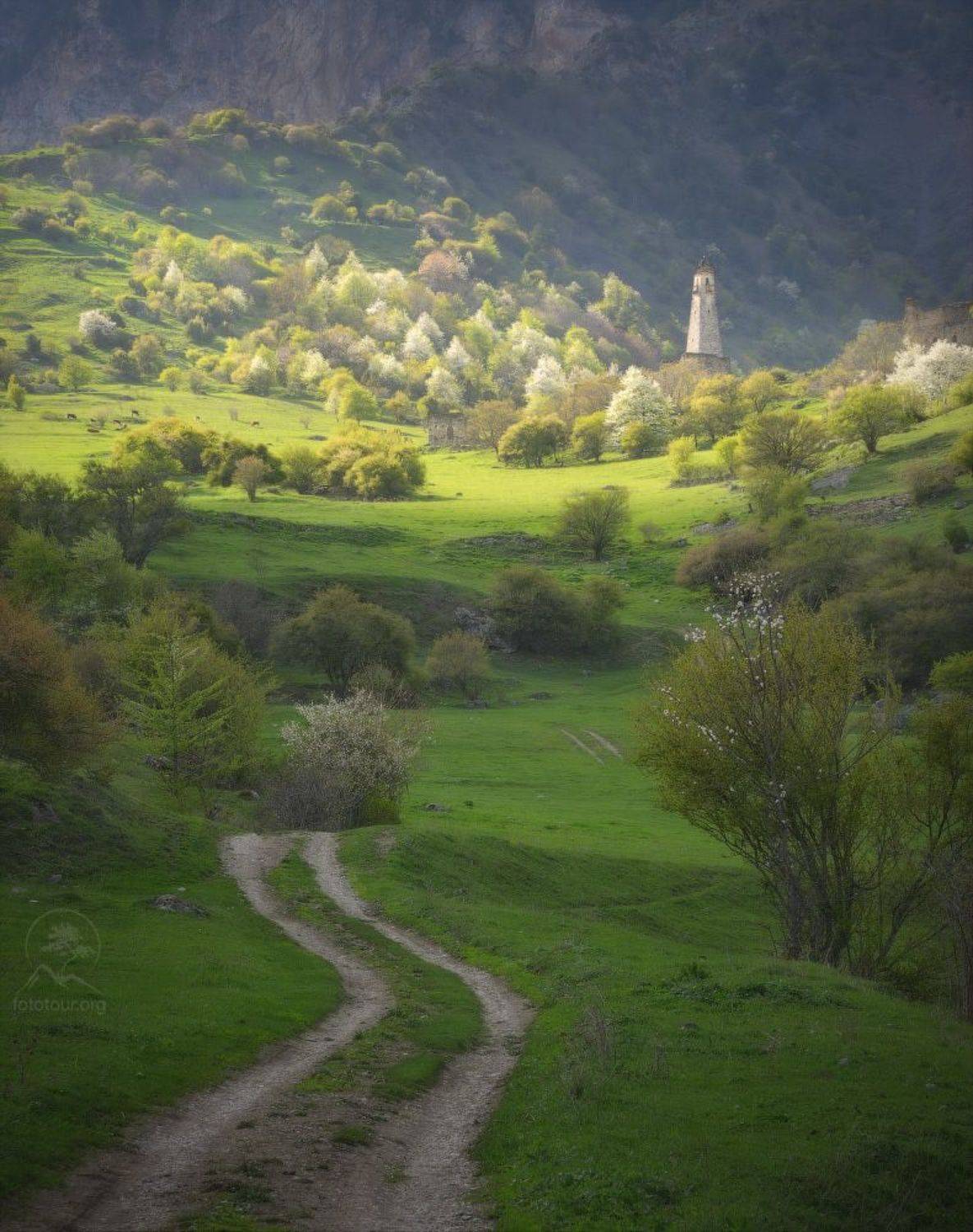 лейми, ингушетия, Анатолий Гордиенко