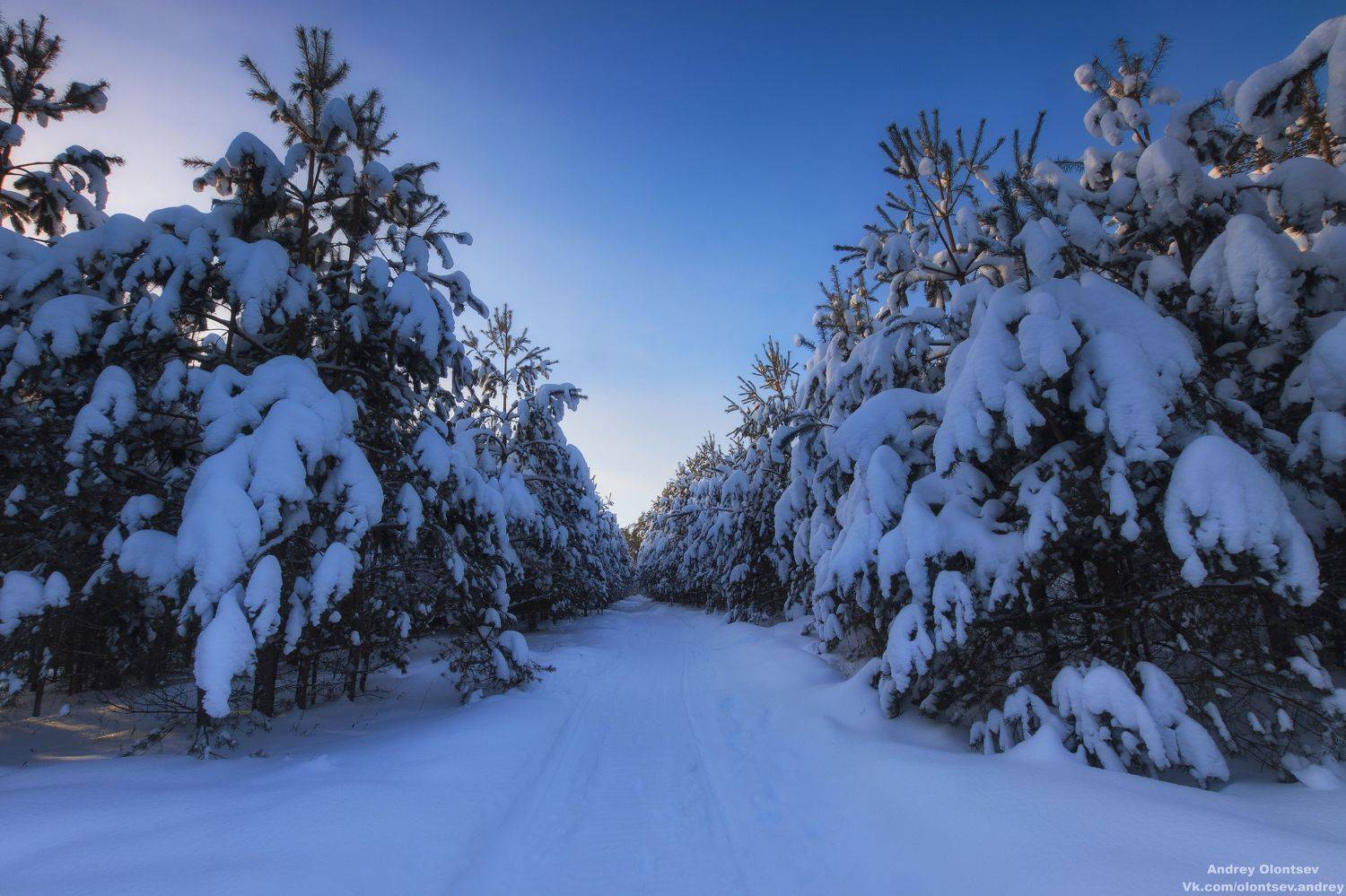 солнце, россия, рассвет, природа, подмосковье, погода, пейзажи, пейзаж, отражение, наукоград, красота, дубна, вода, весна, weather, water, spring, russia, reflection, naukograd, nature, moscow, landscape, dawn, canon, dubna, beauty, Андрей Олонцев