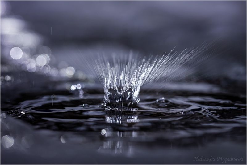 капель,  брызги,  треки,  боке,  весна Капель фото превью