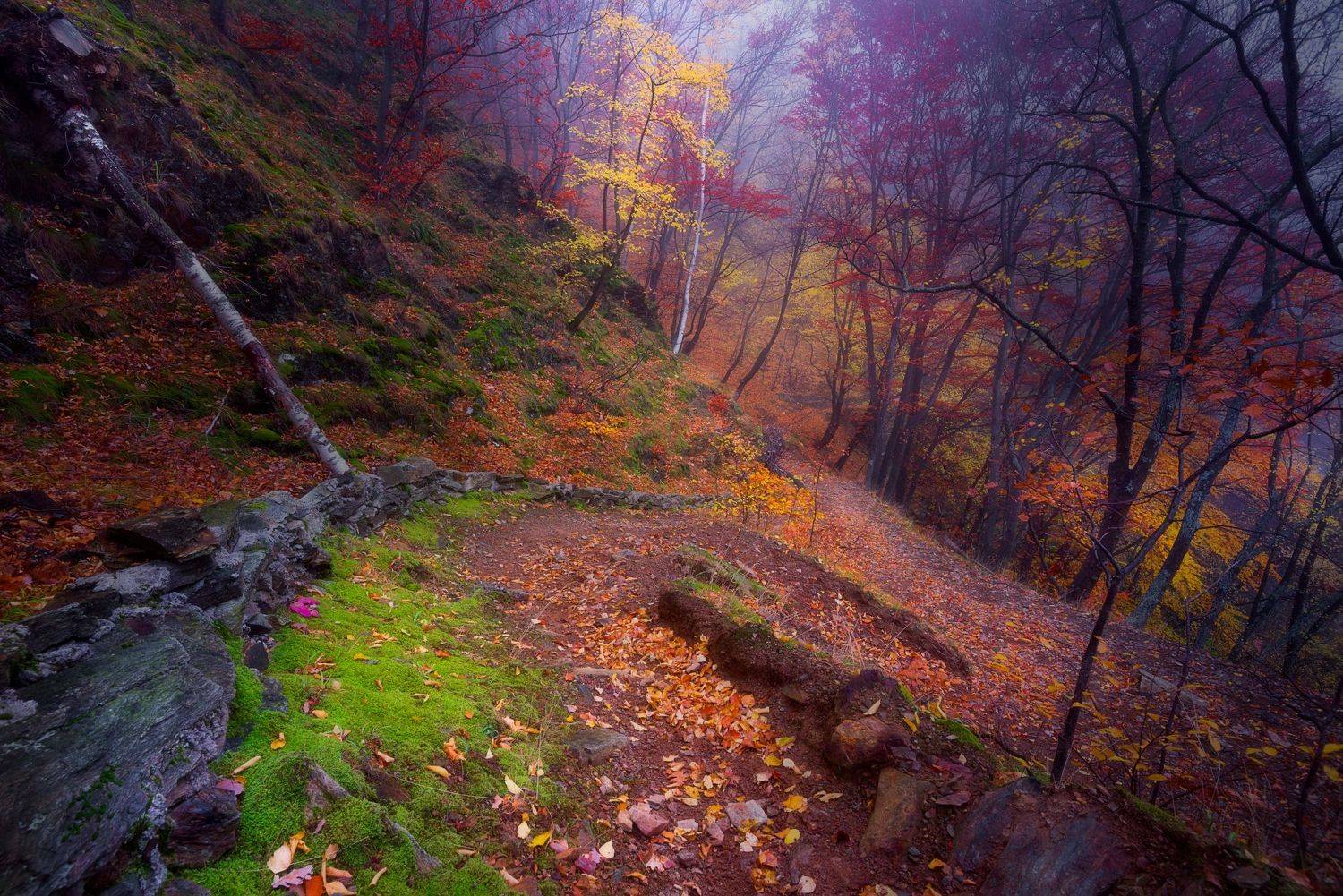 , Mariyana Atanasova - Lucero