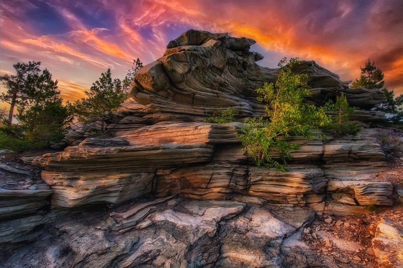 Карагай фото превью