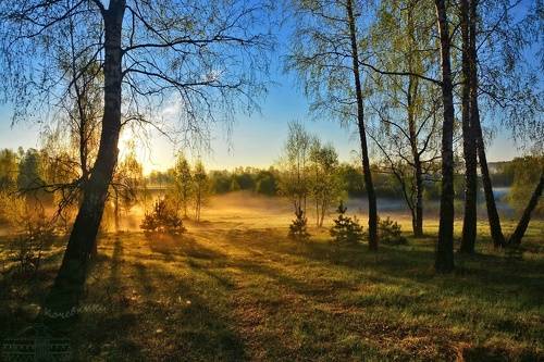 Прекрасное в малом