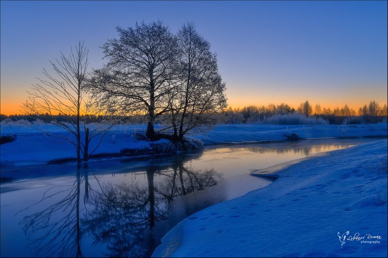 * * * фото превью