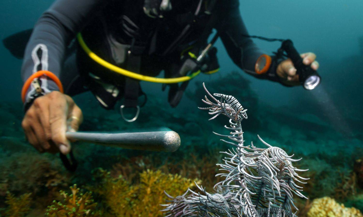 , Андрей Савин