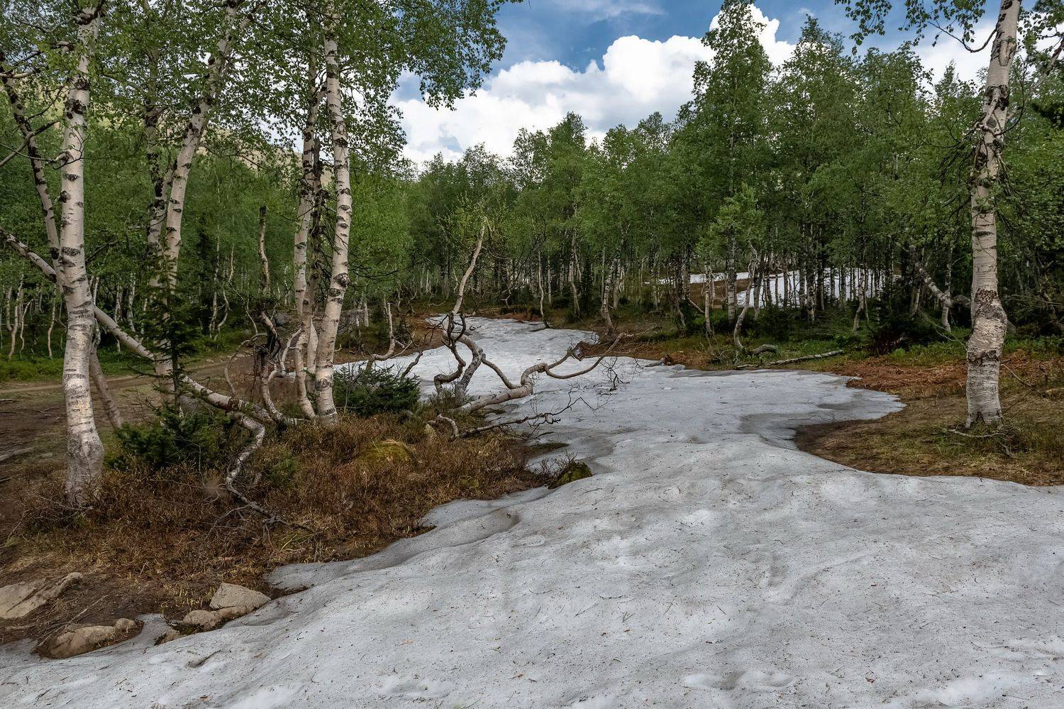 снег, сибирь, июнь, хакасия, Марина Фомина