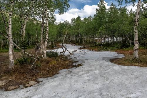 Июньский снег