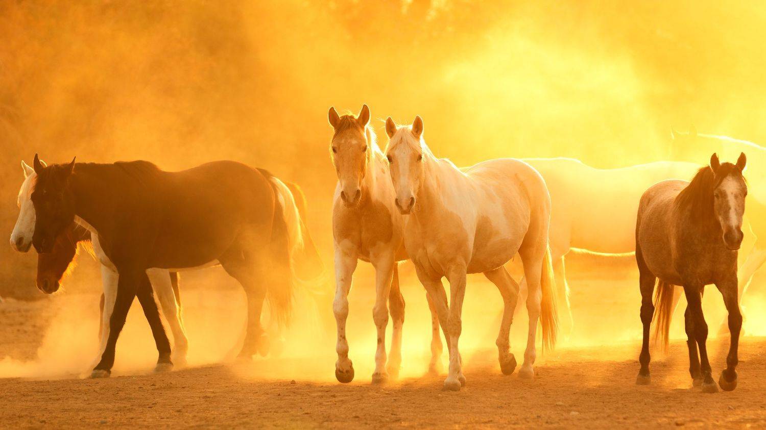 , Евгений Фруман