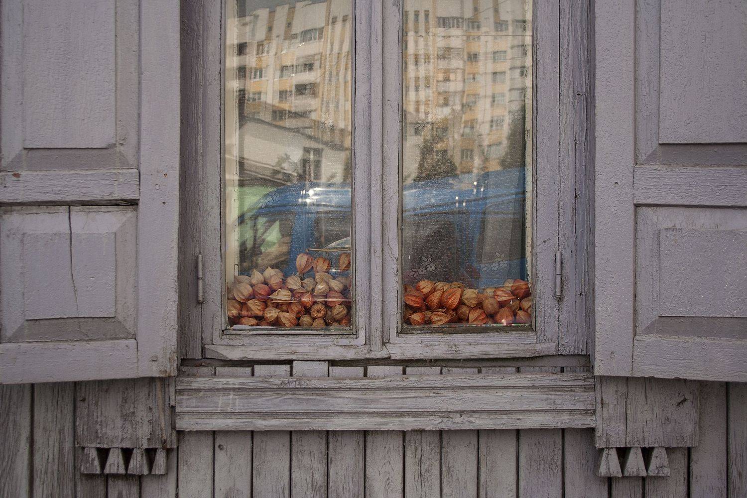 город, городское, стрит, окно, физалис, Алексейчик Ольга