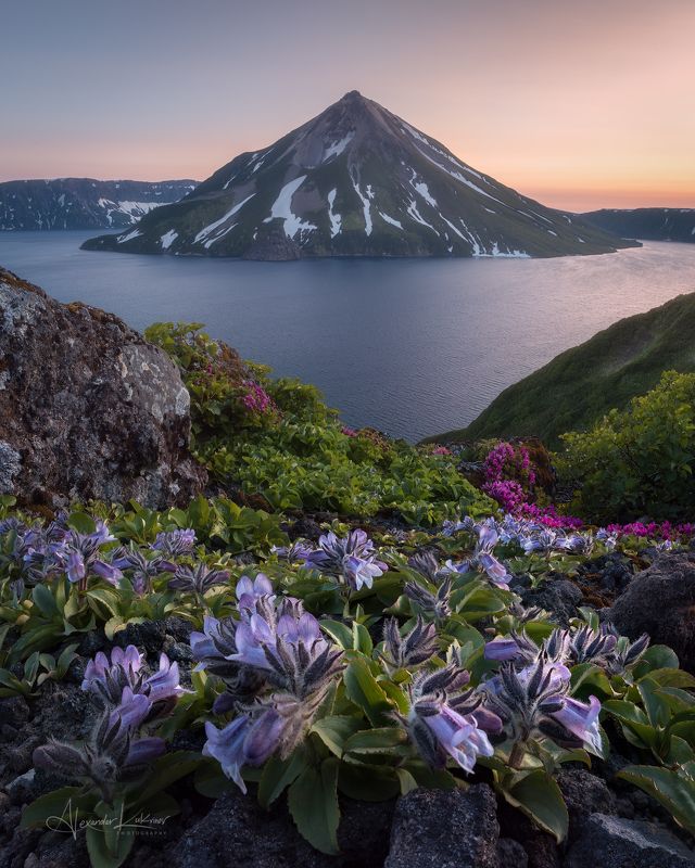 курилы,онекотан,вечер,закат,цветы Цветы Онекотана... фото превью